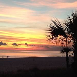 Meet your Posher, Dwight